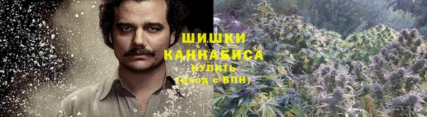 первитин Белокуриха