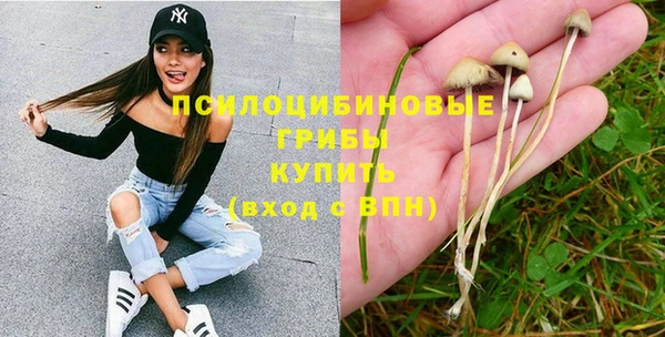 первитин Белокуриха