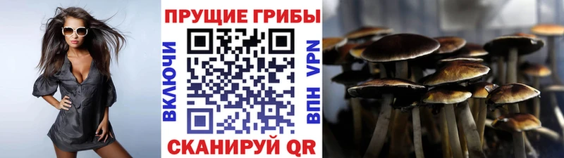 купить закладку Вуктыл МЕГА онион Галлюциногенные грибы GOLDEN TEACHER